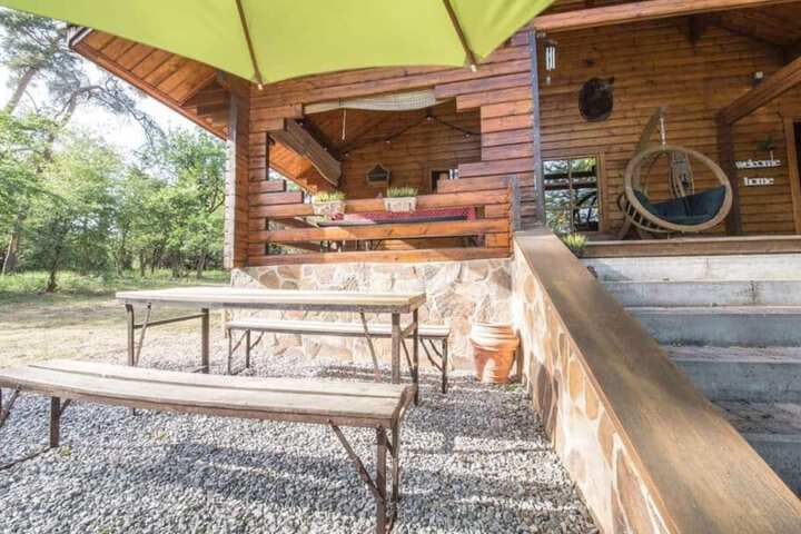 Chalet in the Middle of the Woods Near Durbuy photo 4