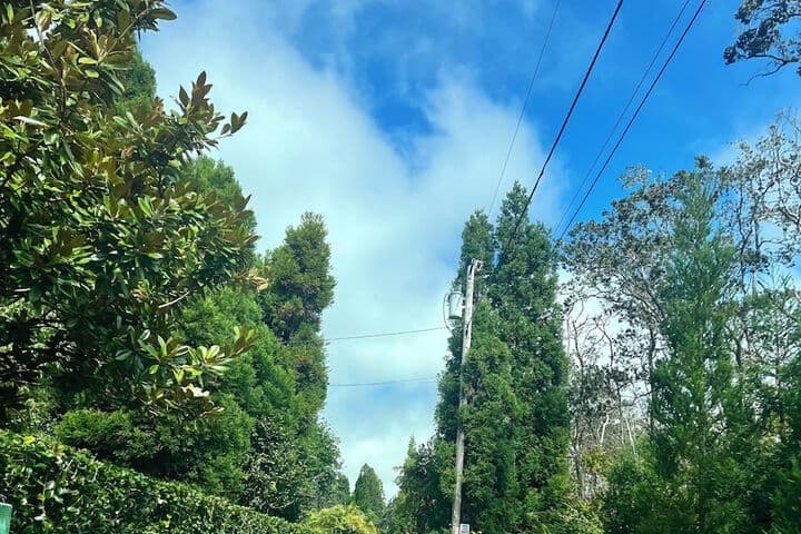 Aloha Junction Guest House photo 3