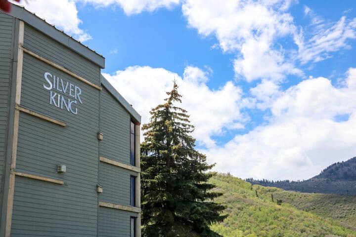 Silver King by All Seasons Resort Lodging photo 4