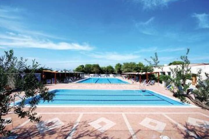 Camping La Pineta photo 4