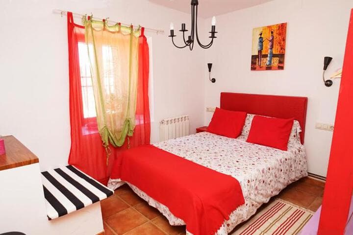 Casa Gatos photo 2