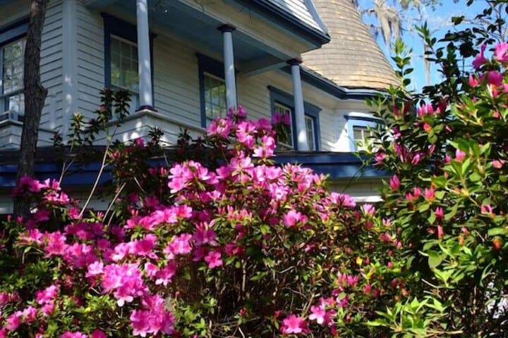 Daffodale House B&B photo 4