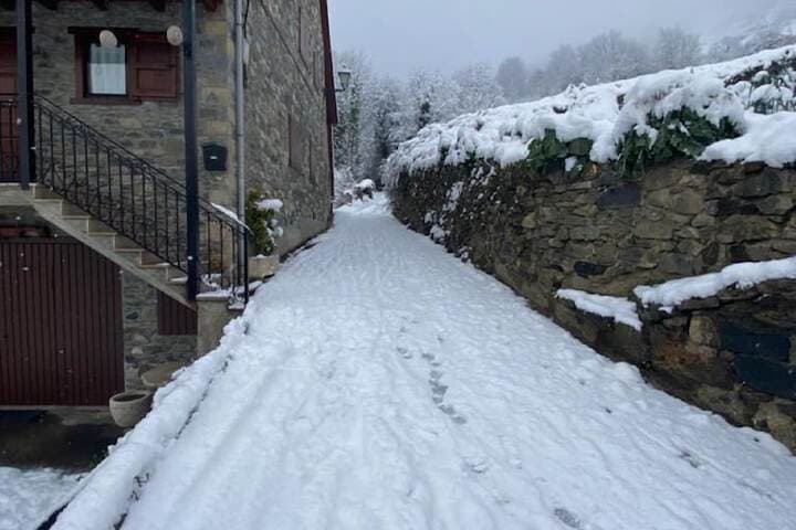 La Petite Boheme photo 2