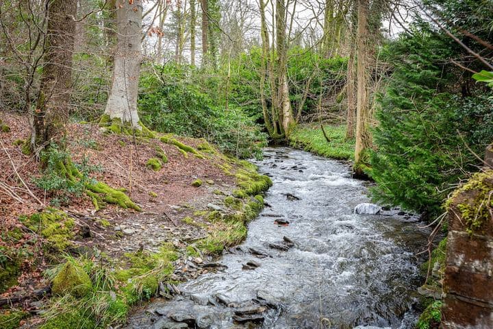 Glencree photo 5