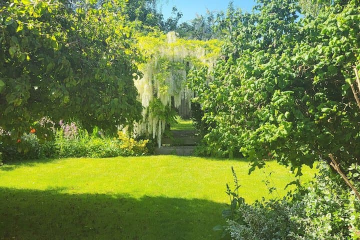 Field View B&B photo 3