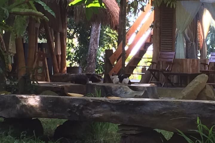 Omunity Bali photo 2