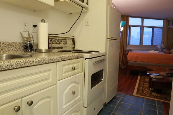 Toronto Furnished Living photo 5