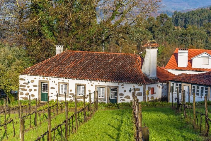 Paço de Calheiros photo 2