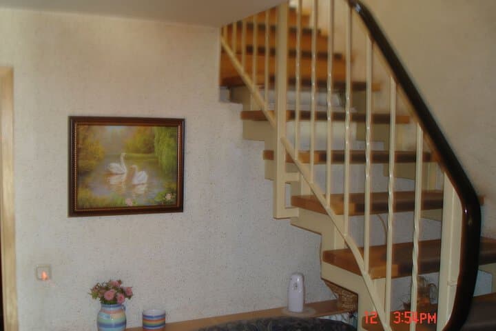Pension zum Schwanenteich photo 2