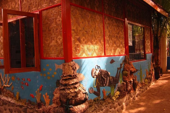 Larantuka Beach Apartments photo 4