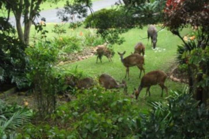 Glen House photo 1