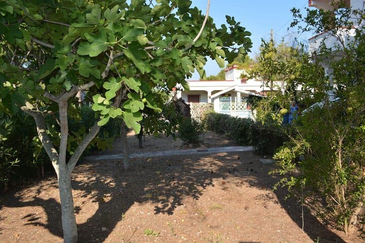 Villa Marìe photo 2