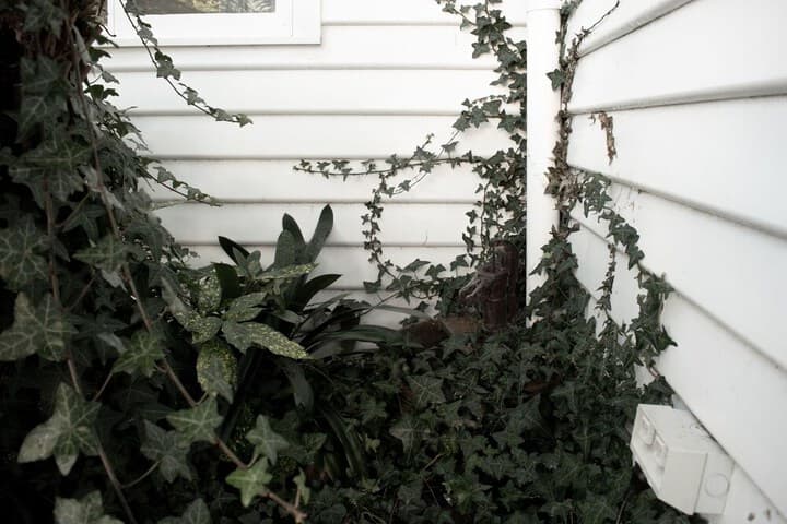 Walton House photo 2