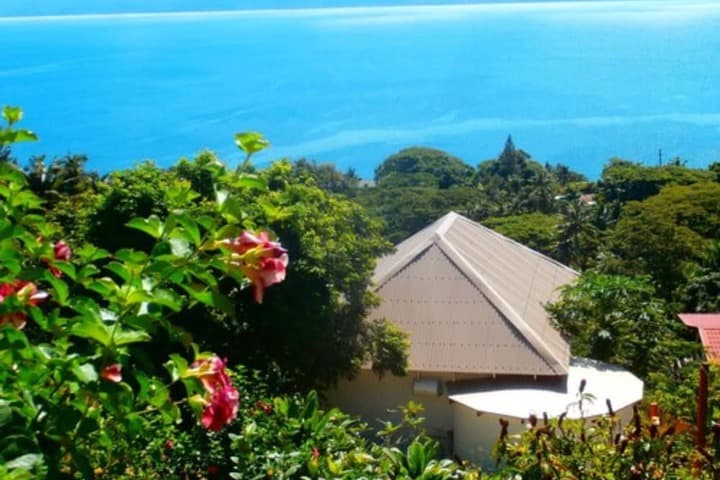 Korovesi Sunshine Villas photo 2