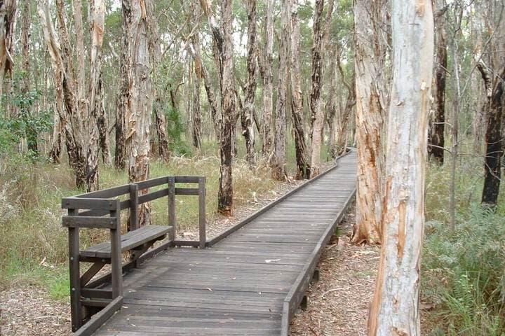 NRMA Woodgate Beach Holiday Park photo 3