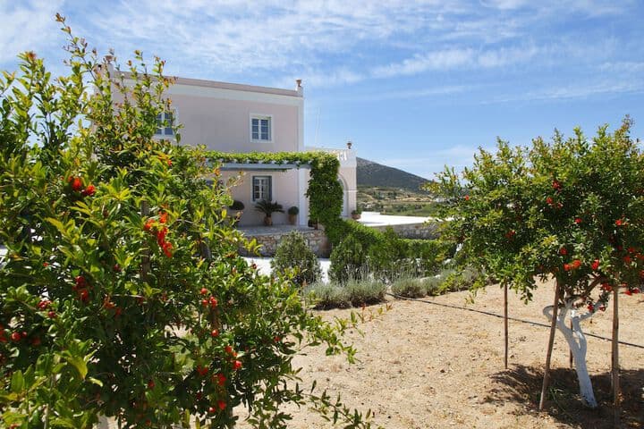 Casa del Sol Syros photo 3