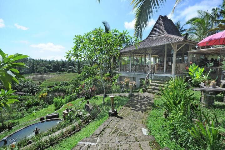 Selemadeg destination view