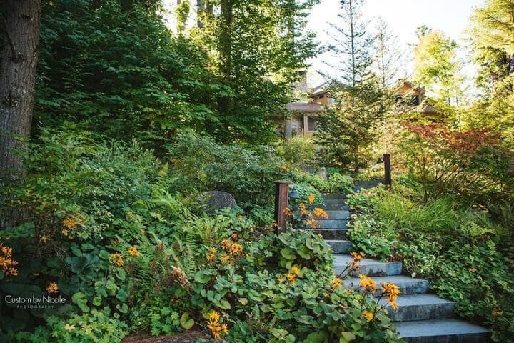 The Fern Lodge photo 3