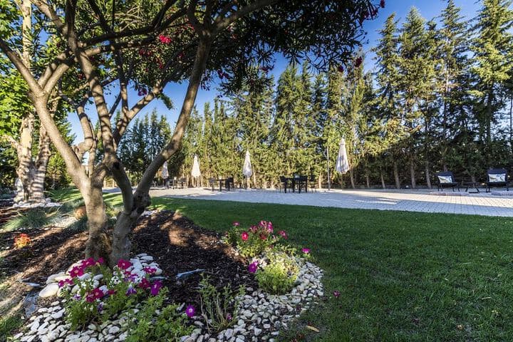 Vila Real Santo Antonio destination view