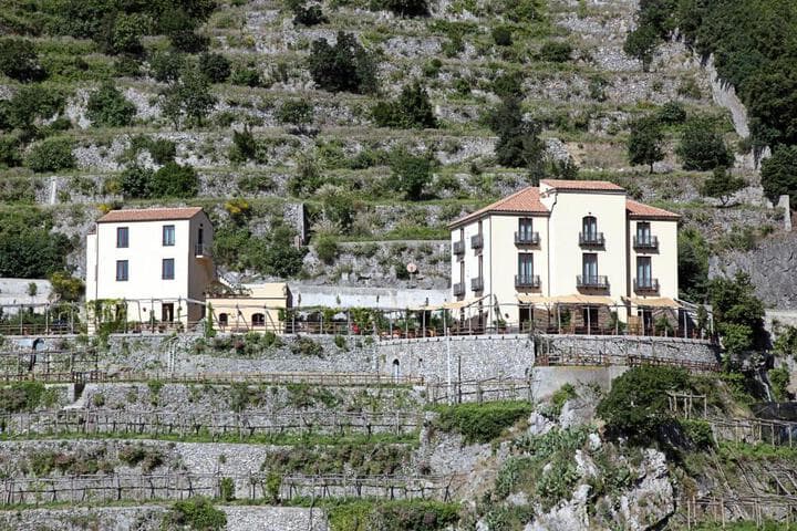 Limoneto Di Ercole photo 3