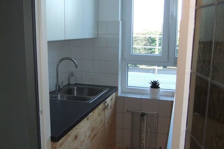 Fuths Penthouse 55 photo 4