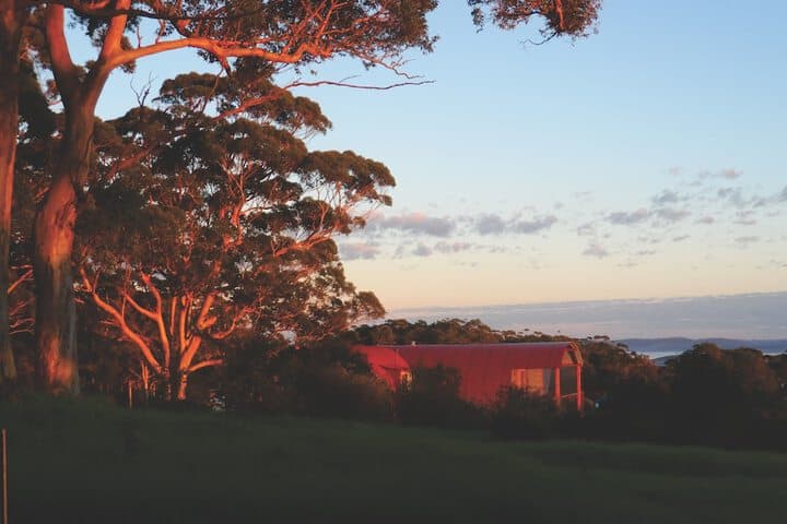 Tennessee Hill Chalets photo 5