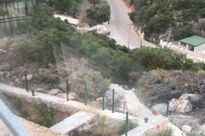 Green Hill photo 2