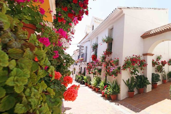 Hotel La Posada photo 1