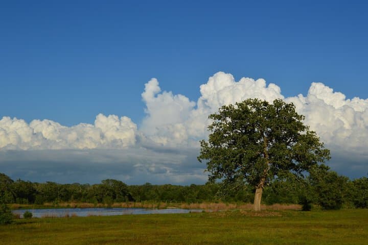 Night Bird Ranch photo 2