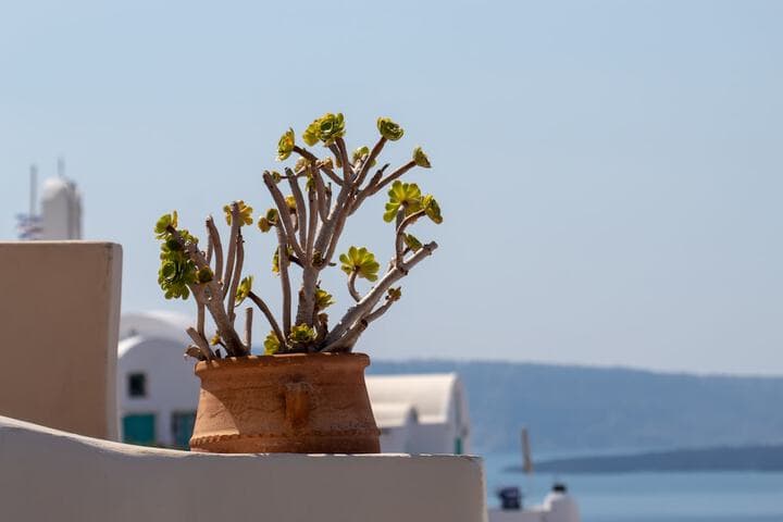 Villa Ariadni photo 5