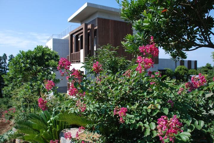 Jejueco Suites photo 4