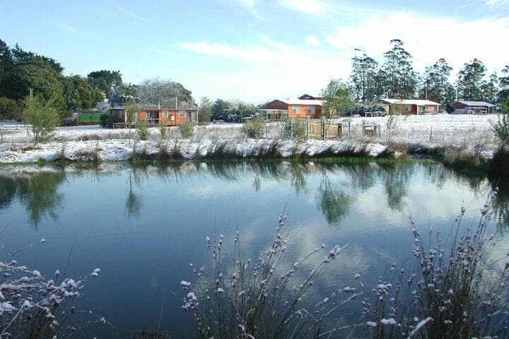 AAA Granary Accommodation photo 4