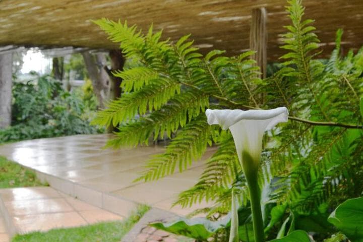 Highveld Splendour Boutique Bed&Breakfast photo 2