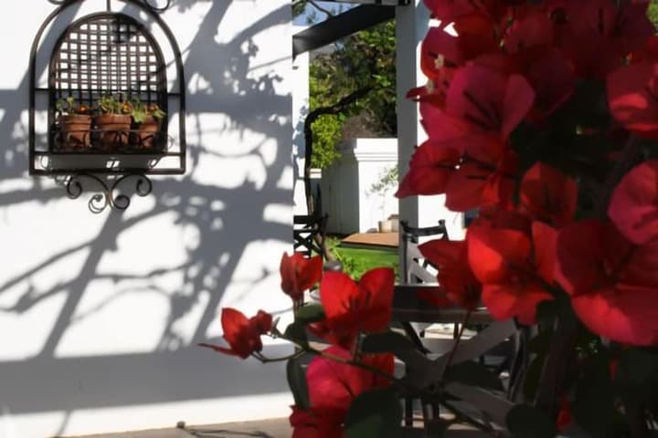 Lemon & Lime Guest House photo 4