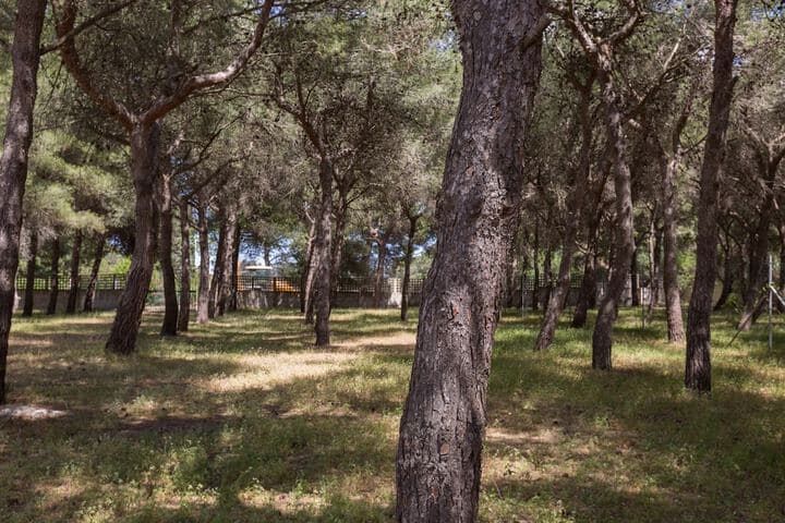 Villetta La Pineta photo 5