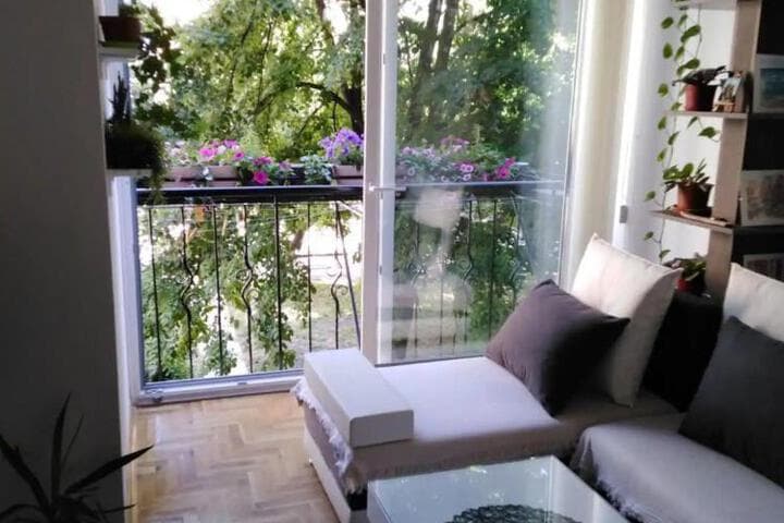 Ana Apartment photo 5