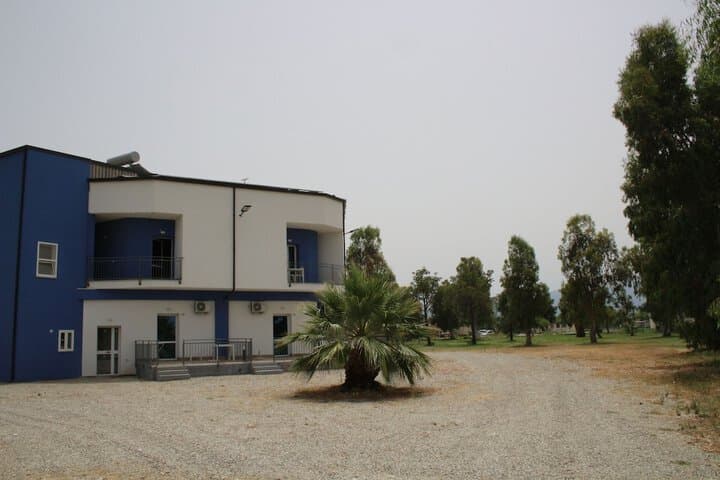Levante photo 5