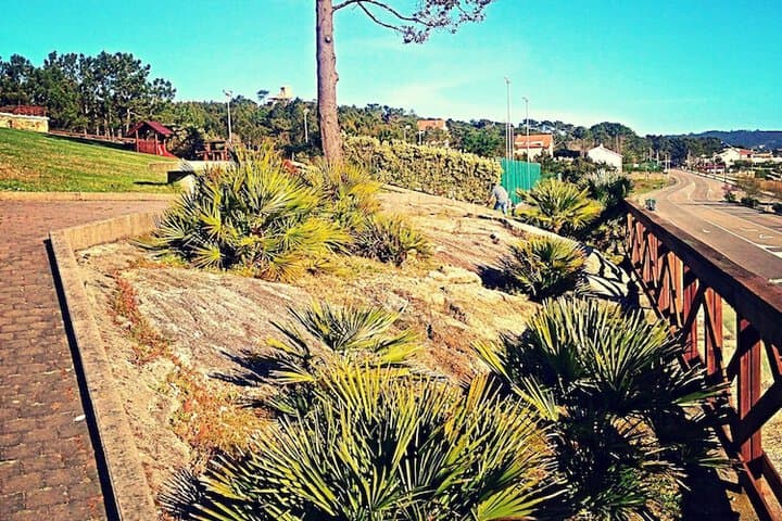 Complejo Turístico Raeiros photo 2