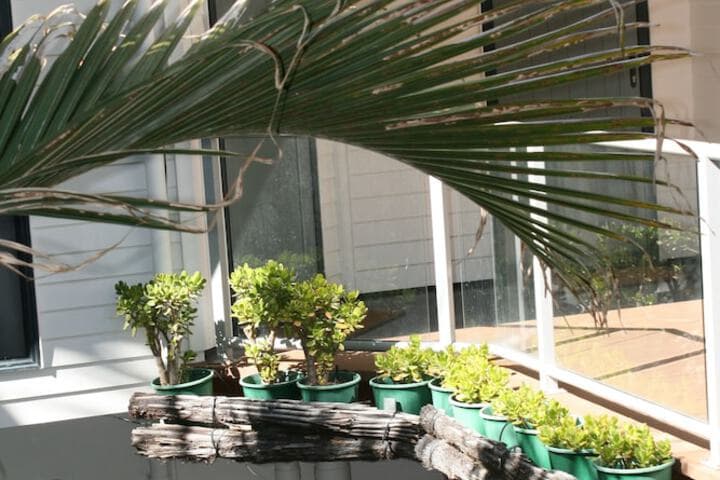 Atlas Suites&Apartments photo 5