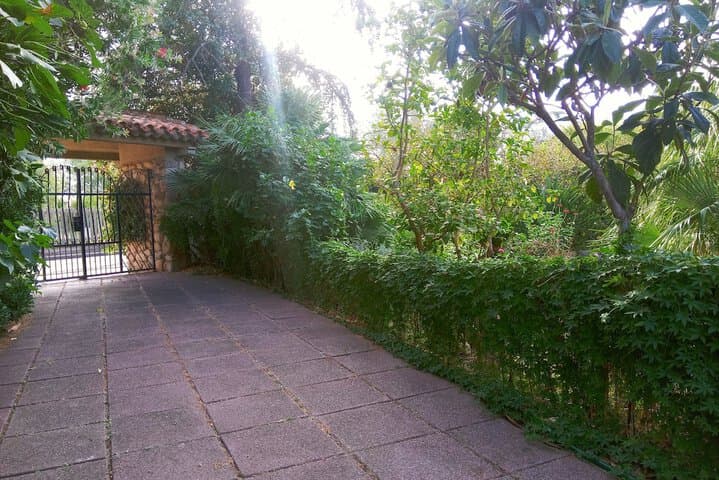 Villa Corrias photo 5