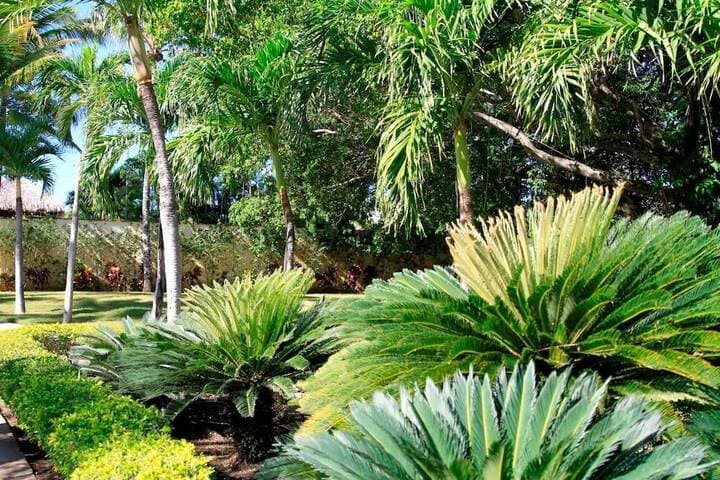 Garden Condos photo 5