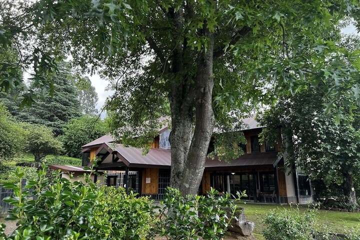 Malachite Manor photo 2