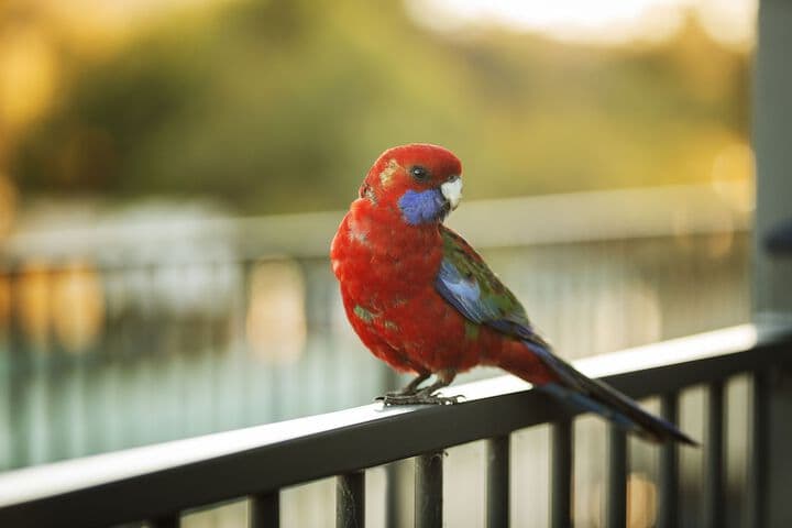 Alivio Tourist Park Canberra photo 3