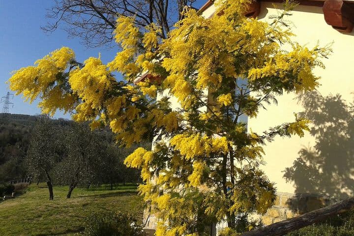 Agriturismo Poggiopiano photo 4