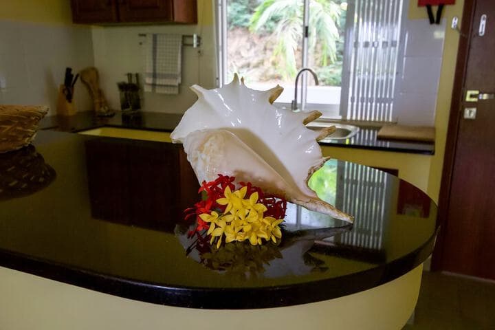 Surfers Self Catering Chalets photo 3