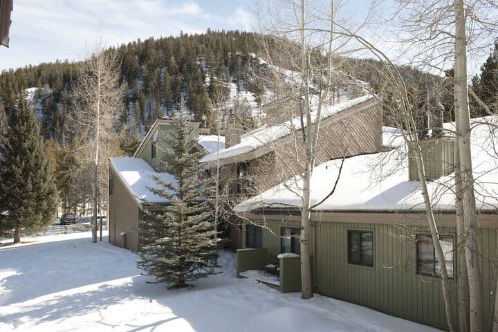 Forest Condominiums by Keystone Resort photo 5