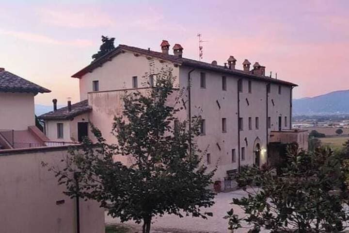 Badia Il Vingone photo 4