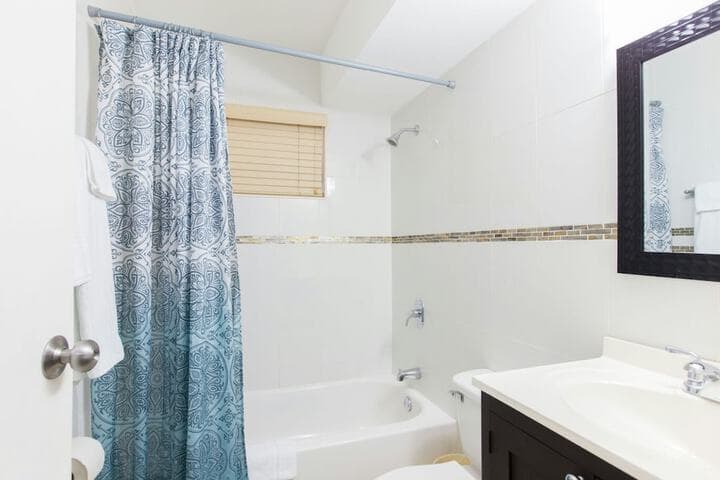 New Kingston Guest Apartment IV photo 4
