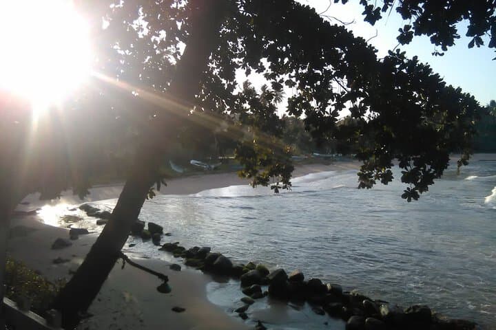 Talalla Bay Beach House photo 4
