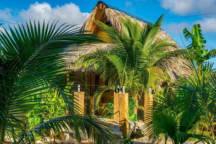 Chalet Tropical Village B&B photo 3